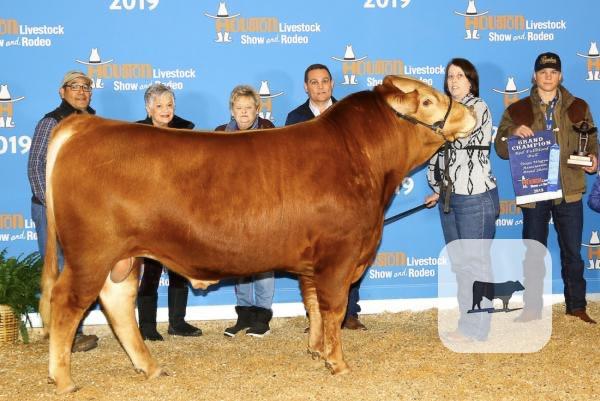 2 Reg. Akaushi Bulls... Northeast TX thumbnail 2