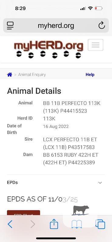 1 Reg. Hereford Bull... S. Central MO thumbnail 5