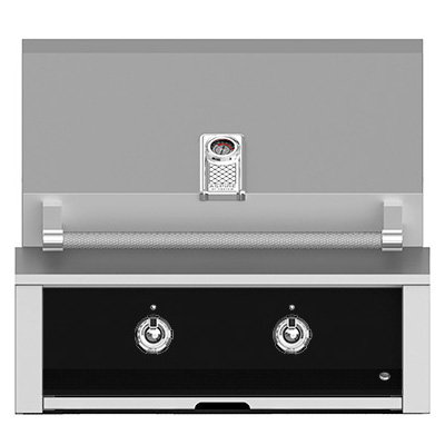 Aspire by Hestan 30-Inch 2-Burner Built-In Natural Gas Grill - Stealth