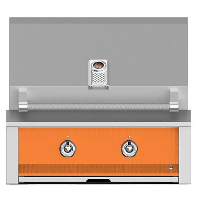 Aspire by Hestan 30-Inch 2-Burner Built-In Propane Gas Grill - Citra